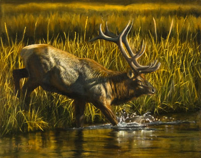 "September Strut" by Joe Kronenberg